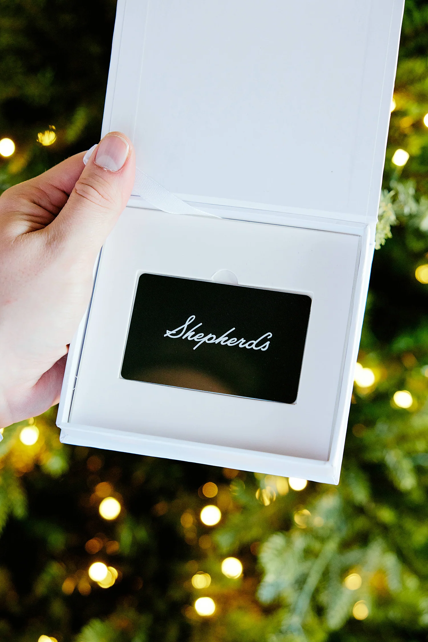The Gift Card - Image 4